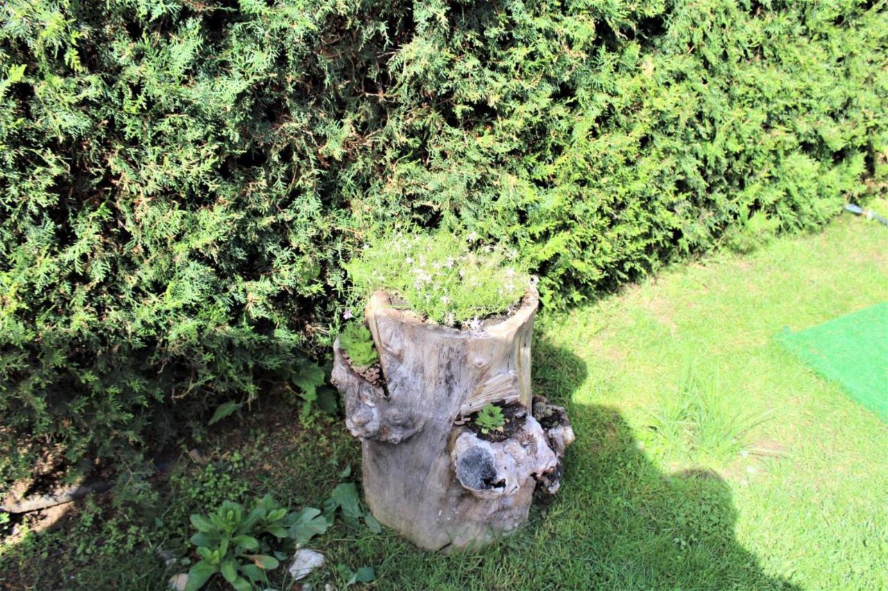 Guest House Brezata - Betula Glavatartsi Extérieur photo